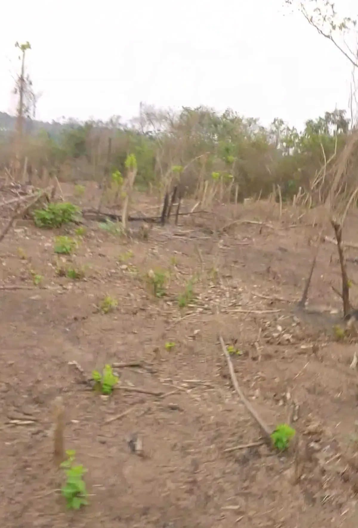 2 pilot of land at abusi village after funnab University - Image 2