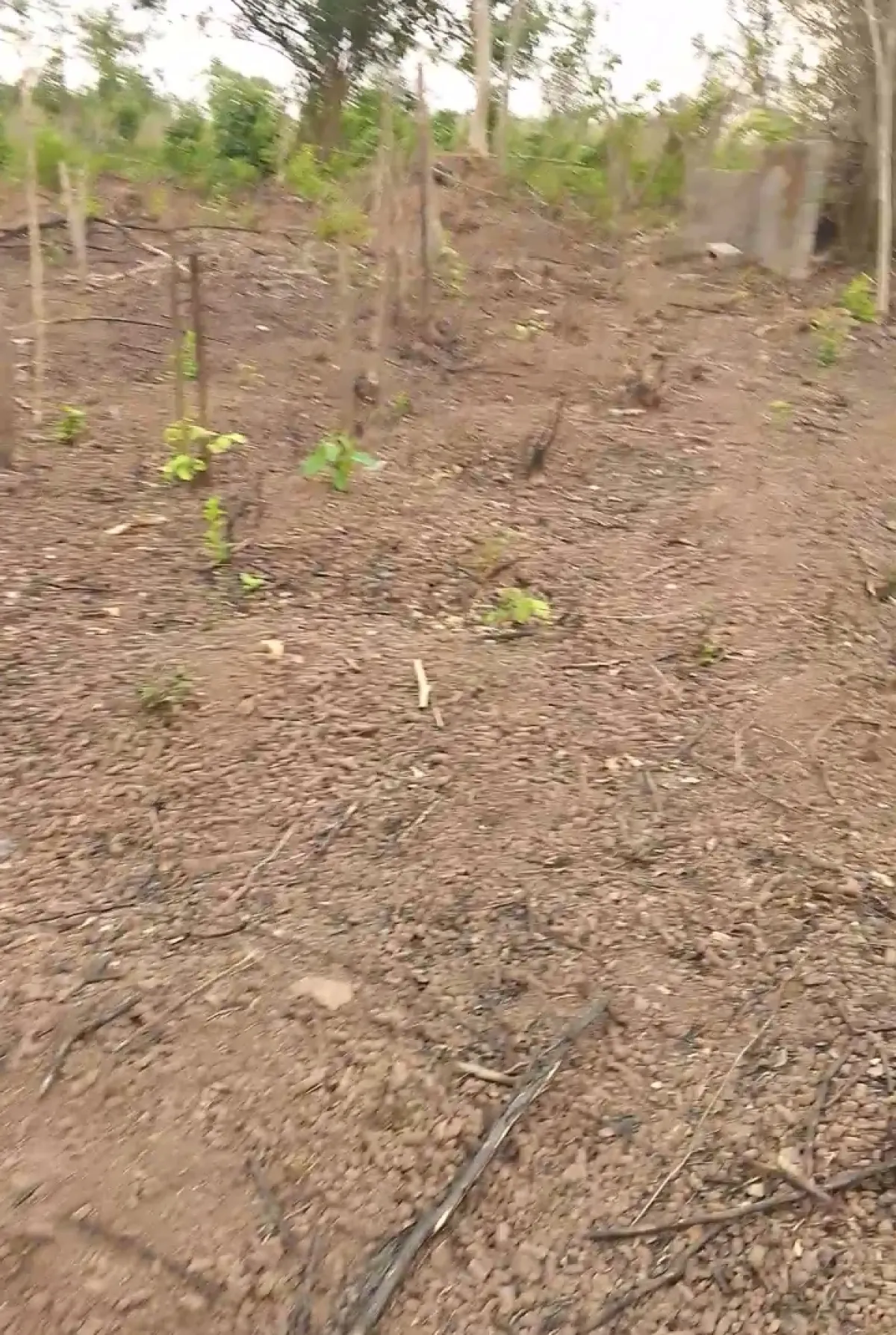 2 pilot of land at abusi village after funnab University - Image 3