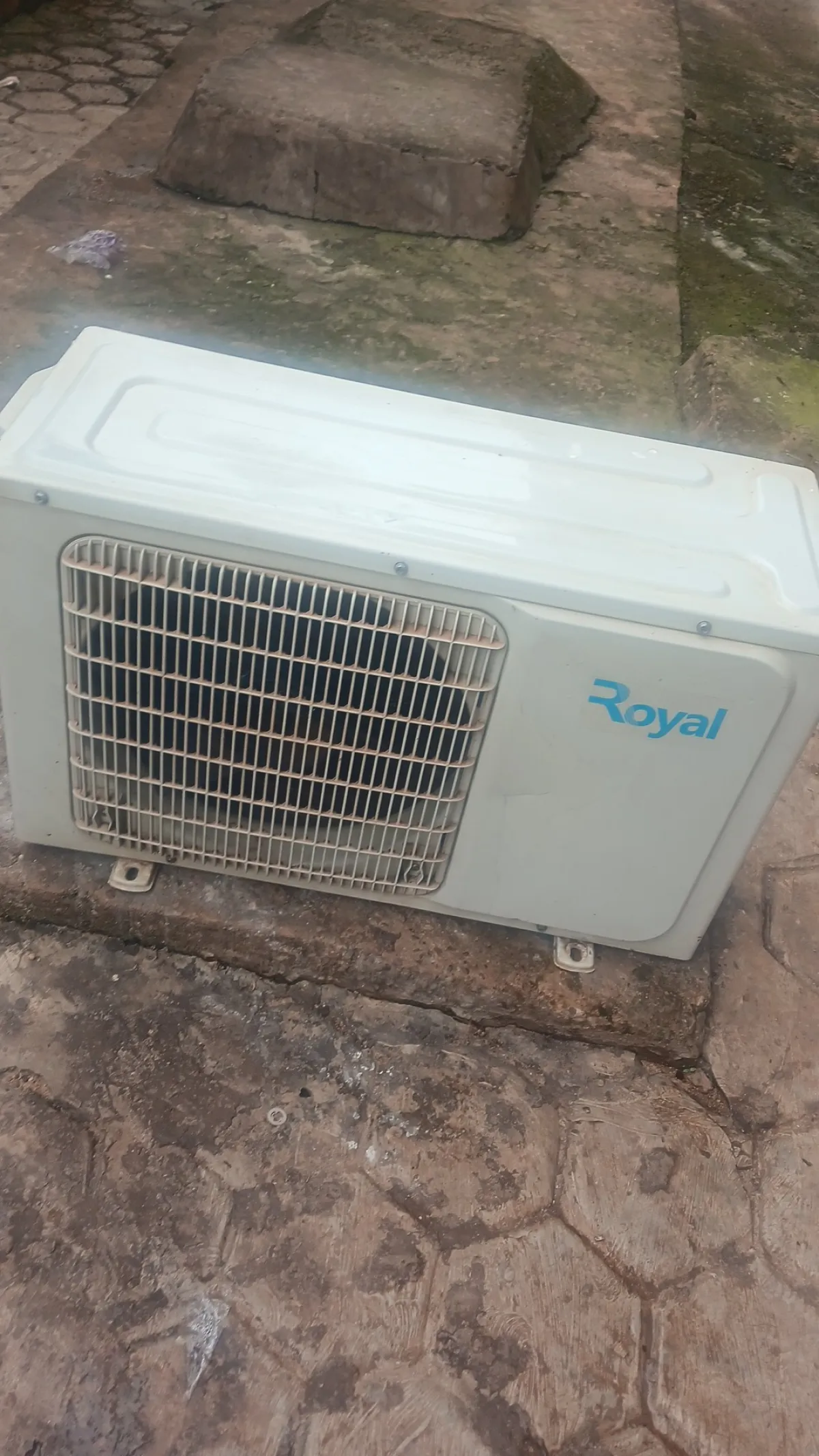 Royal AC - Image 3