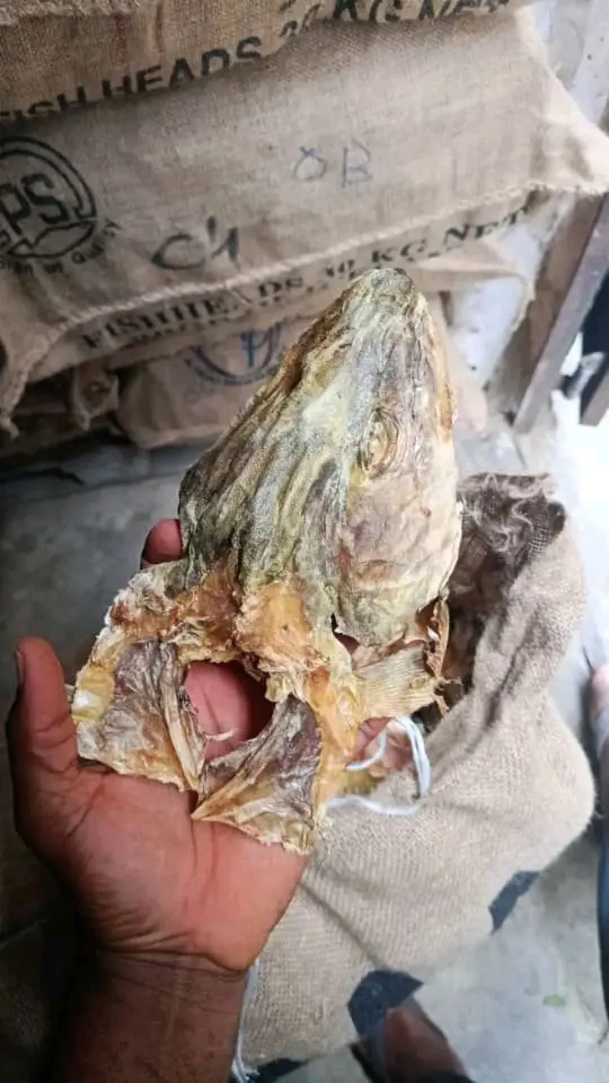 Premium Apama Stockfish with Ear Wholesale Supplier in Aba - Image 5