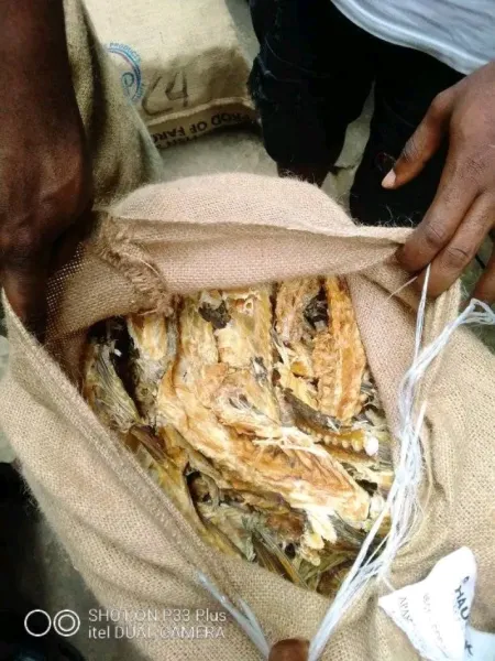 Stockfish Bone for Stockfish and Foodstuff Traders Aba