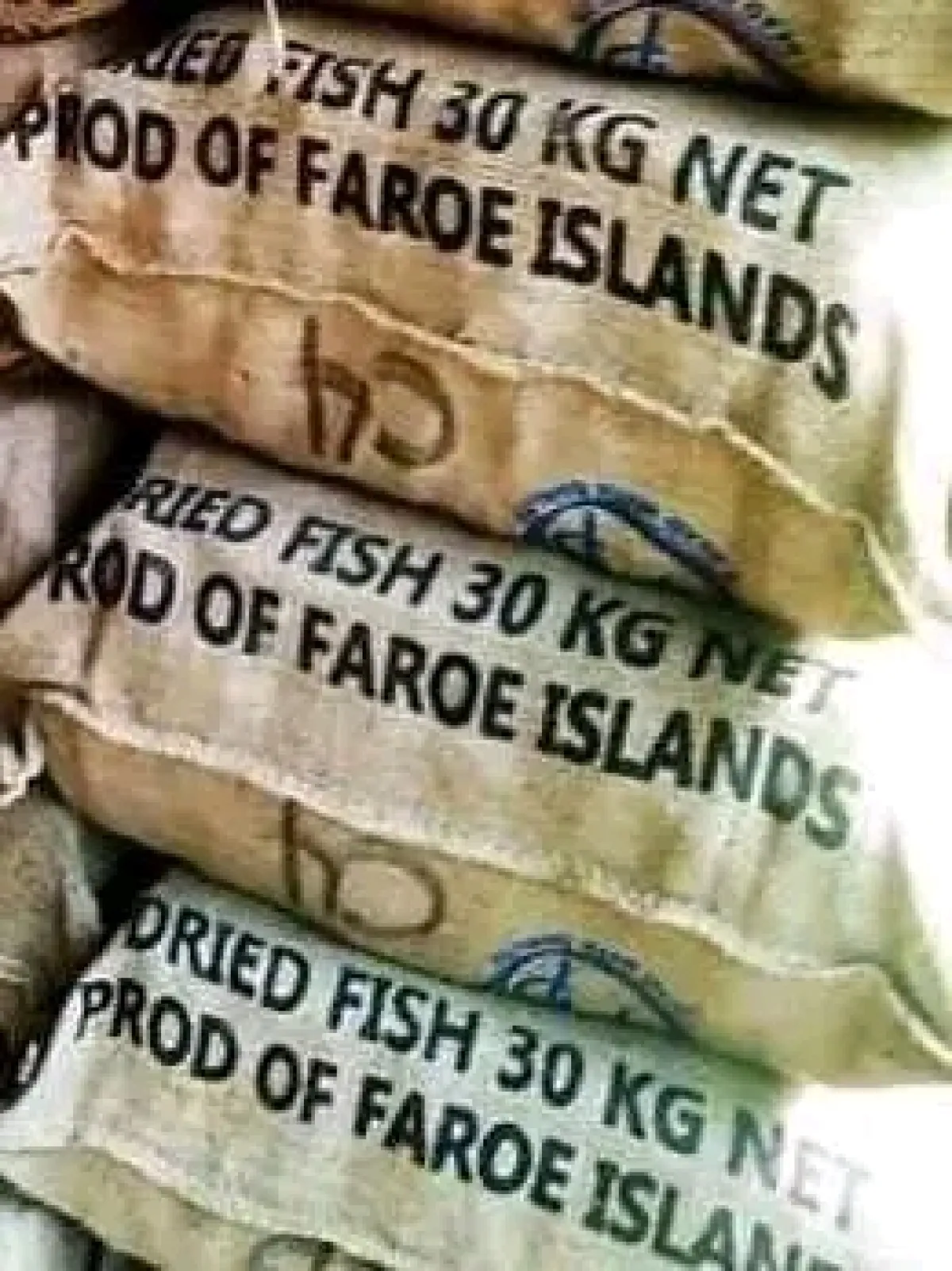 Stockfish Bone for Stockfish and Foodstuff Traders Aba - Image 2