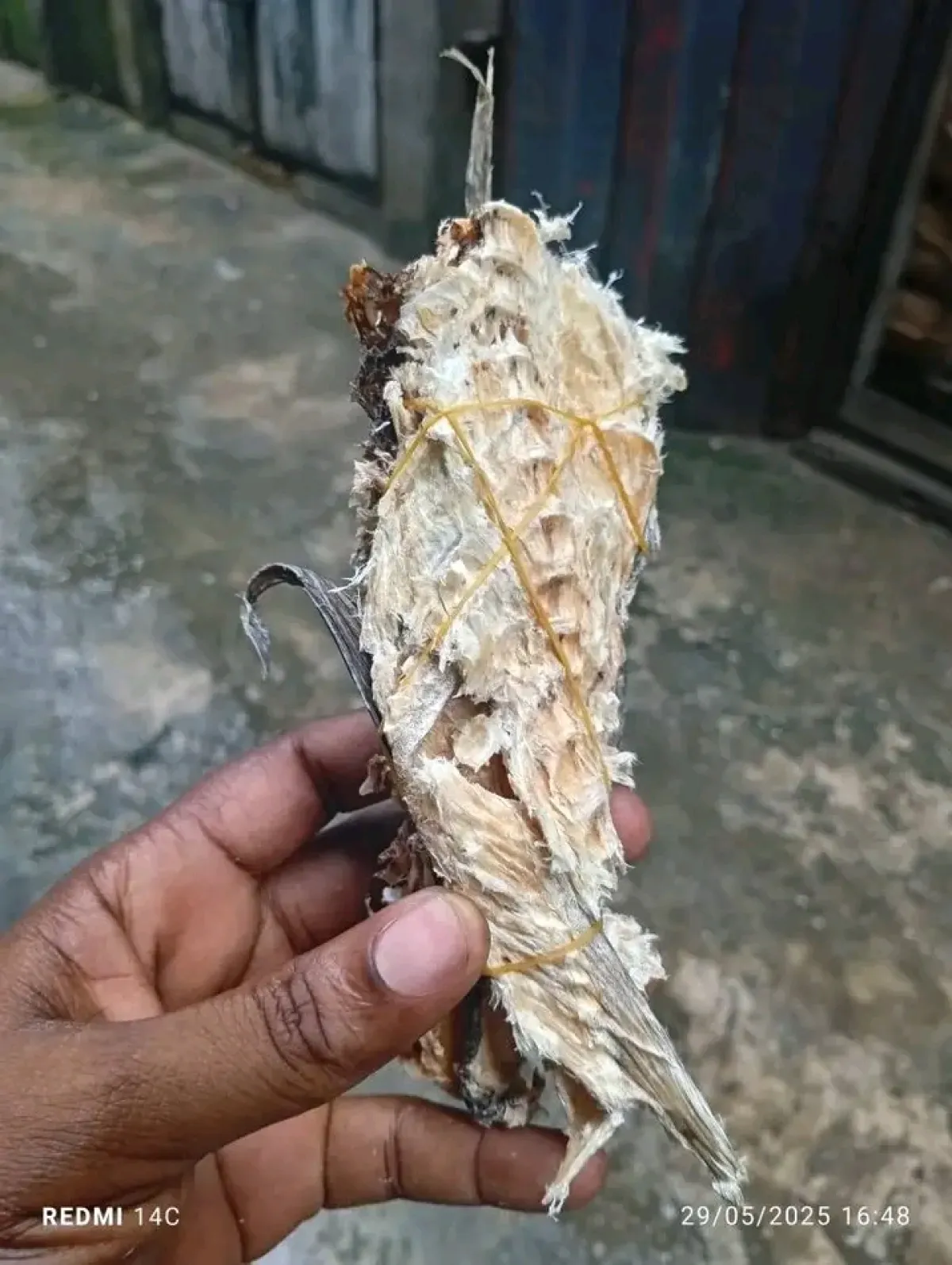 Stockfish Bone for Stockfish and Foodstuff Traders Aba - Image 4