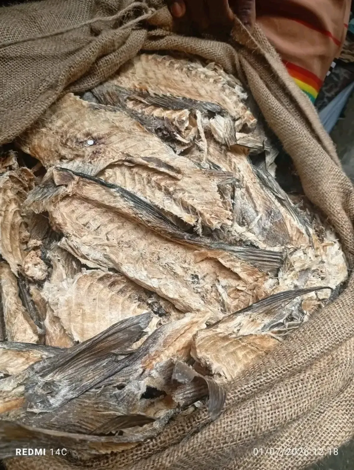 Stockfish Bone for Stockfish and Foodstuff Traders Aba - Image 6