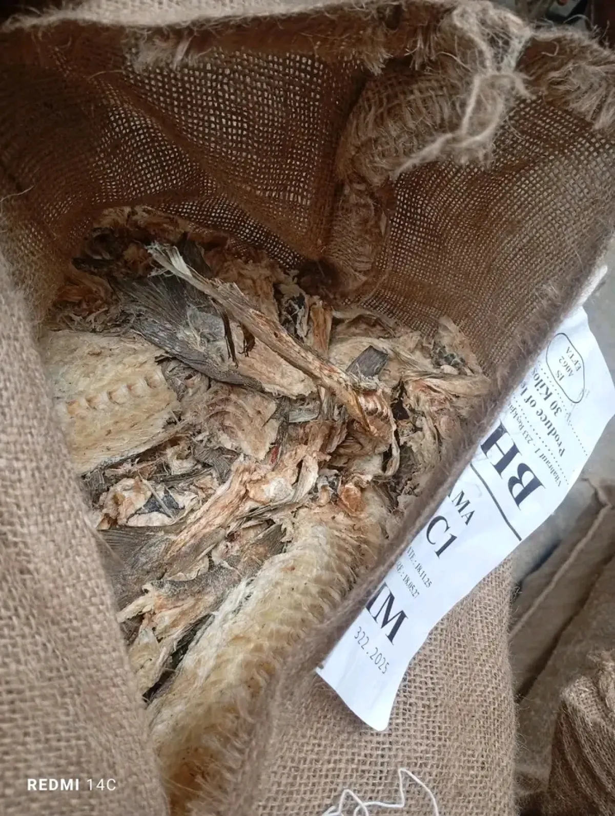 Stockfish Bone for Stockfish and Foodstuff Traders Aba - Image 7