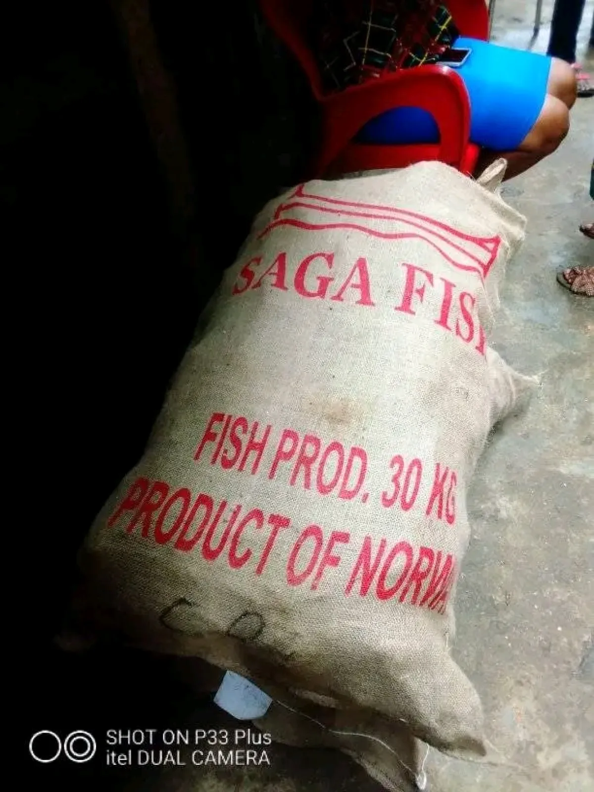 Co-Cod Stockfish for Sale Wholesale Supplier in Aba, Nigeria - Image 1
