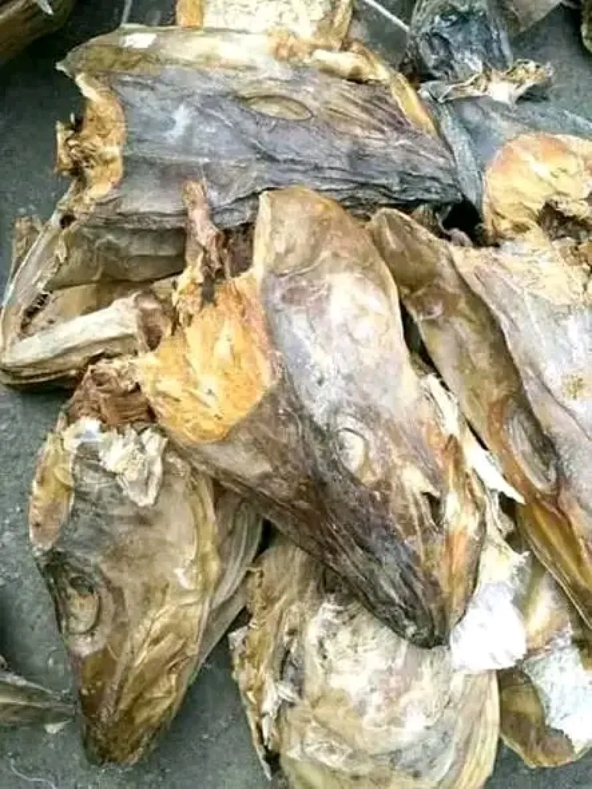 Co-Cod Stockfish for Sale Wholesale Supplier in Aba, Nigeria - Image 2