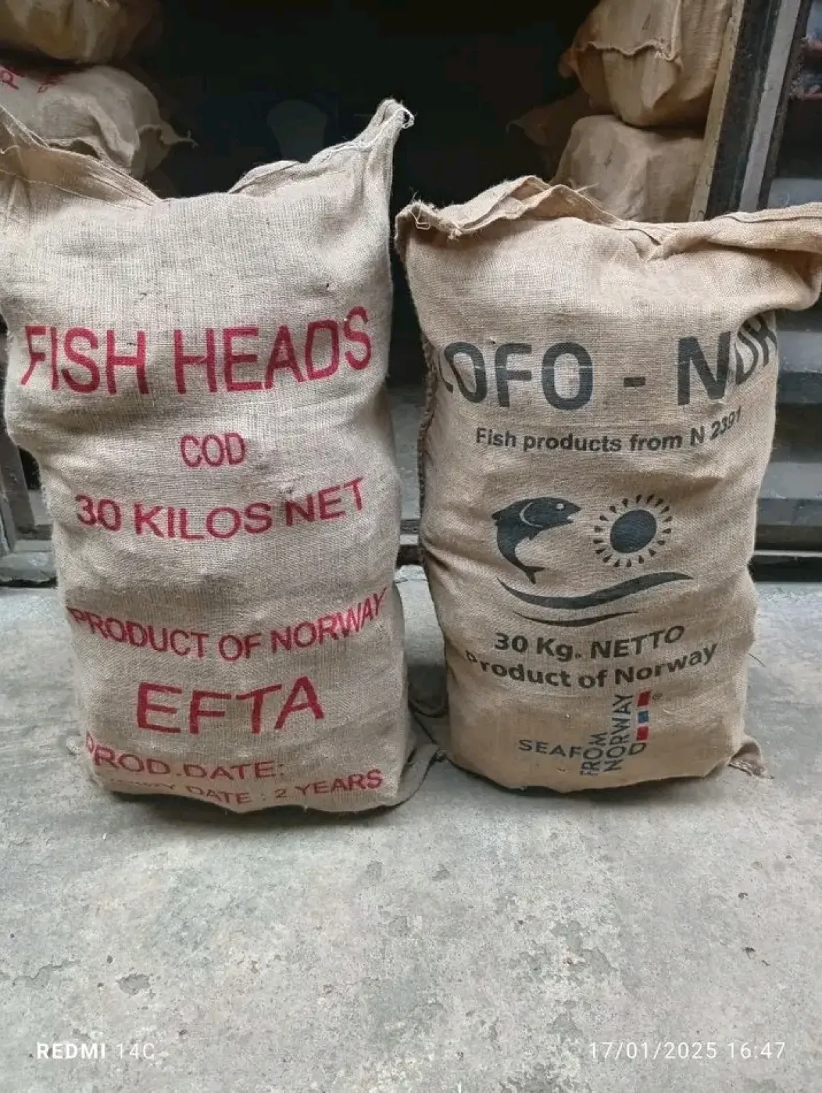 Co-Cod Stockfish for Sale Wholesale Supplier in Aba, Nigeria - Image 5