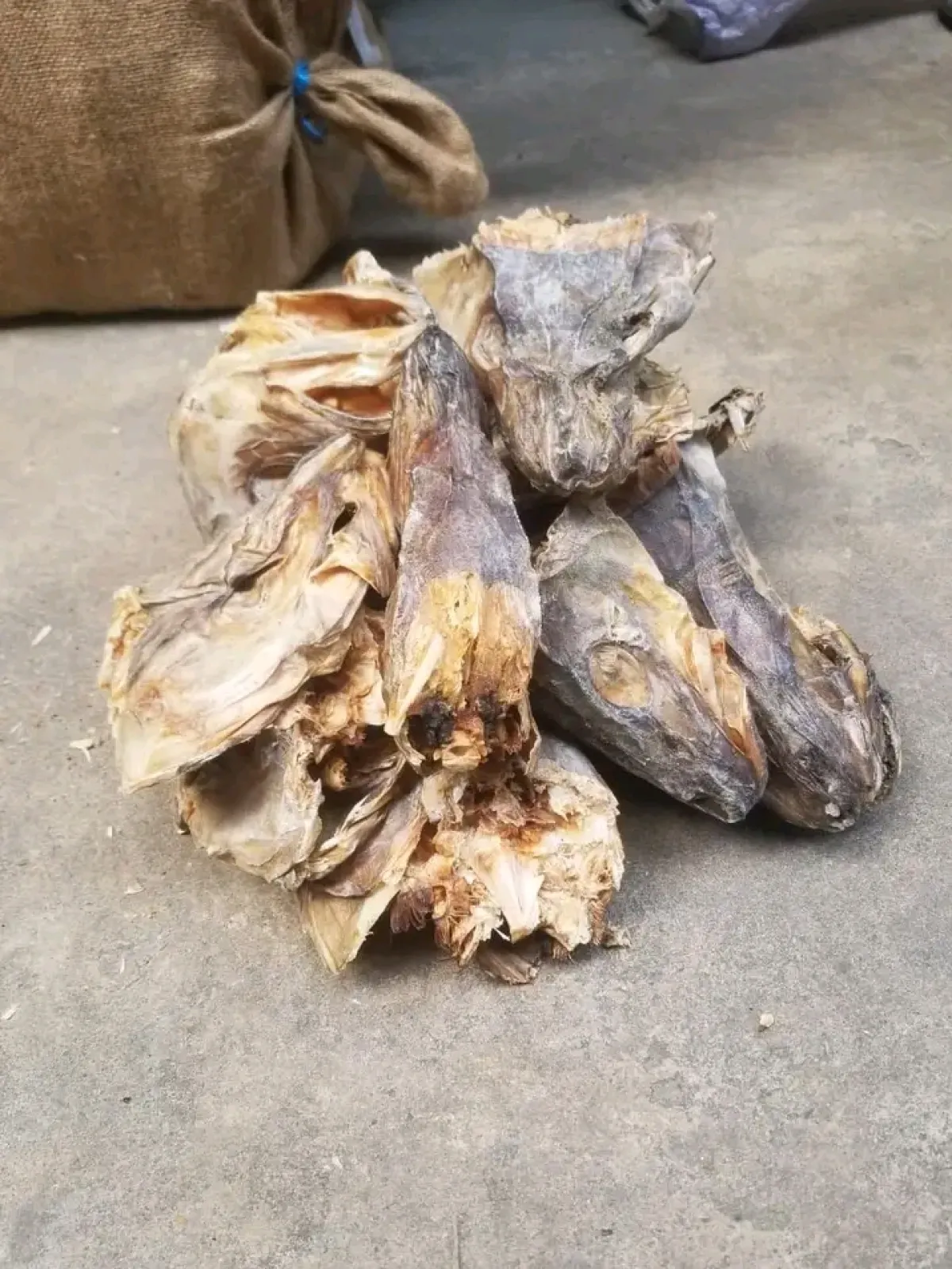 Co-Cod Stockfish for Sale Wholesale Supplier in Aba, Nigeria - Image 7