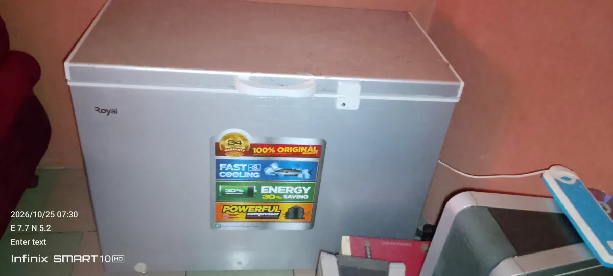 Royal freezer - Image 1