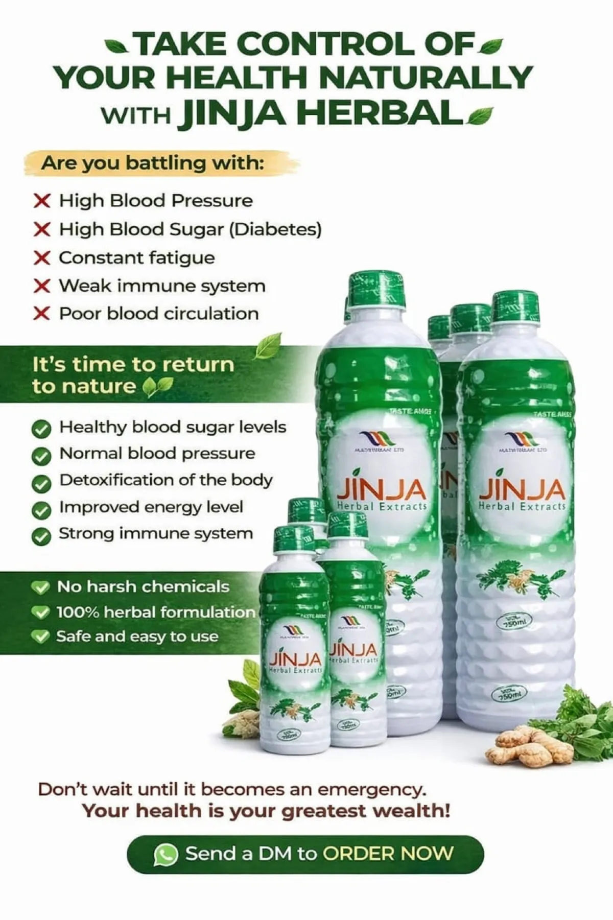 Jinja Herbal Extract - Image 2