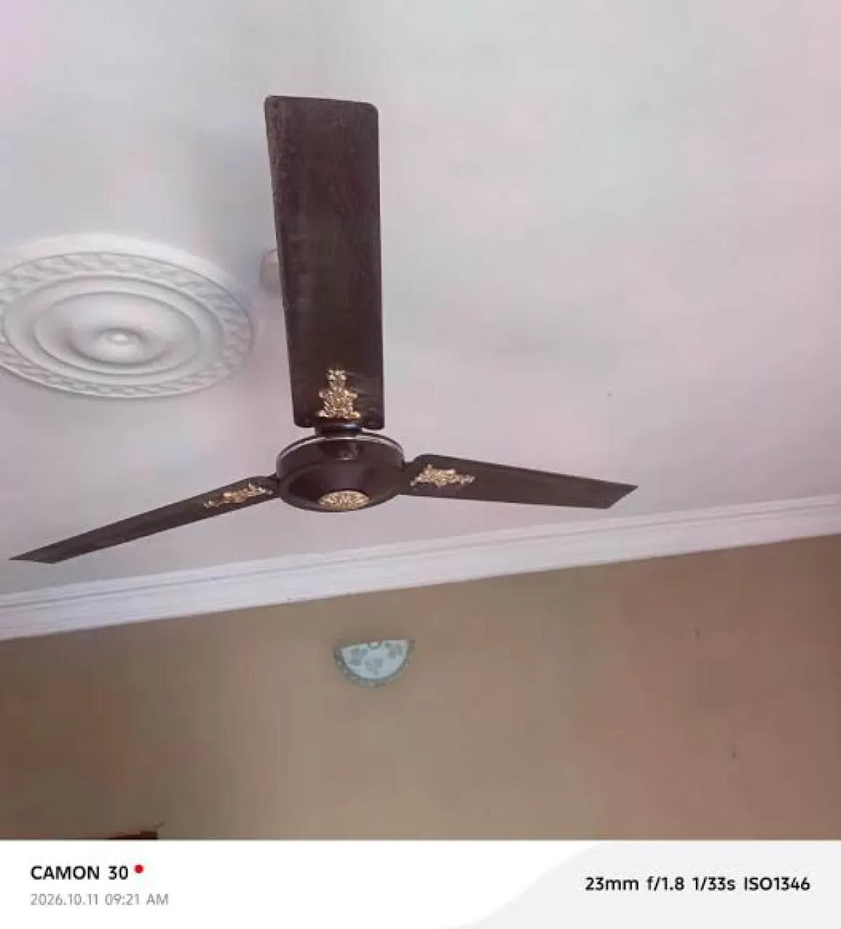 QASA ceiling fan - Image 1