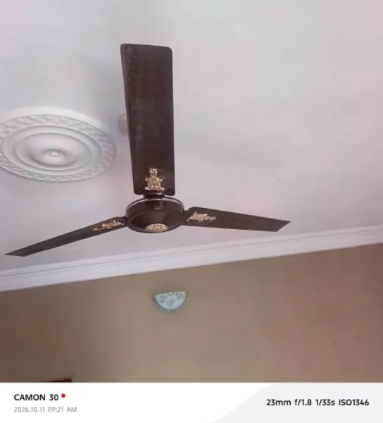 QASA ceiling fan