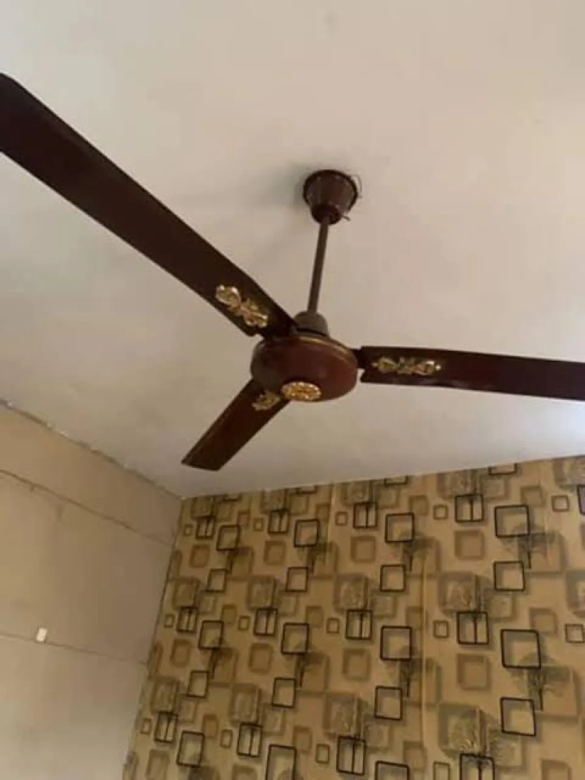 QASA ceiling fan - Image 4