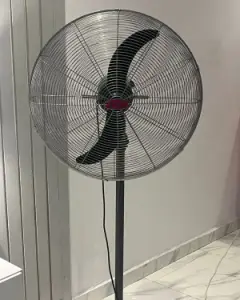 Fan