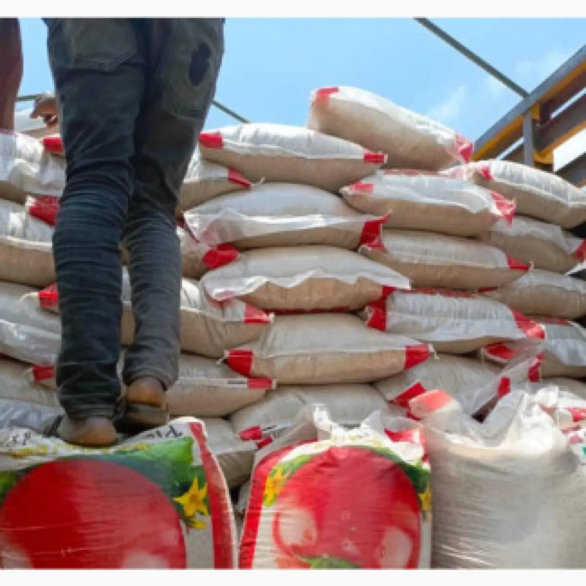 Bag of rice for sale at affordable rates - Image 2