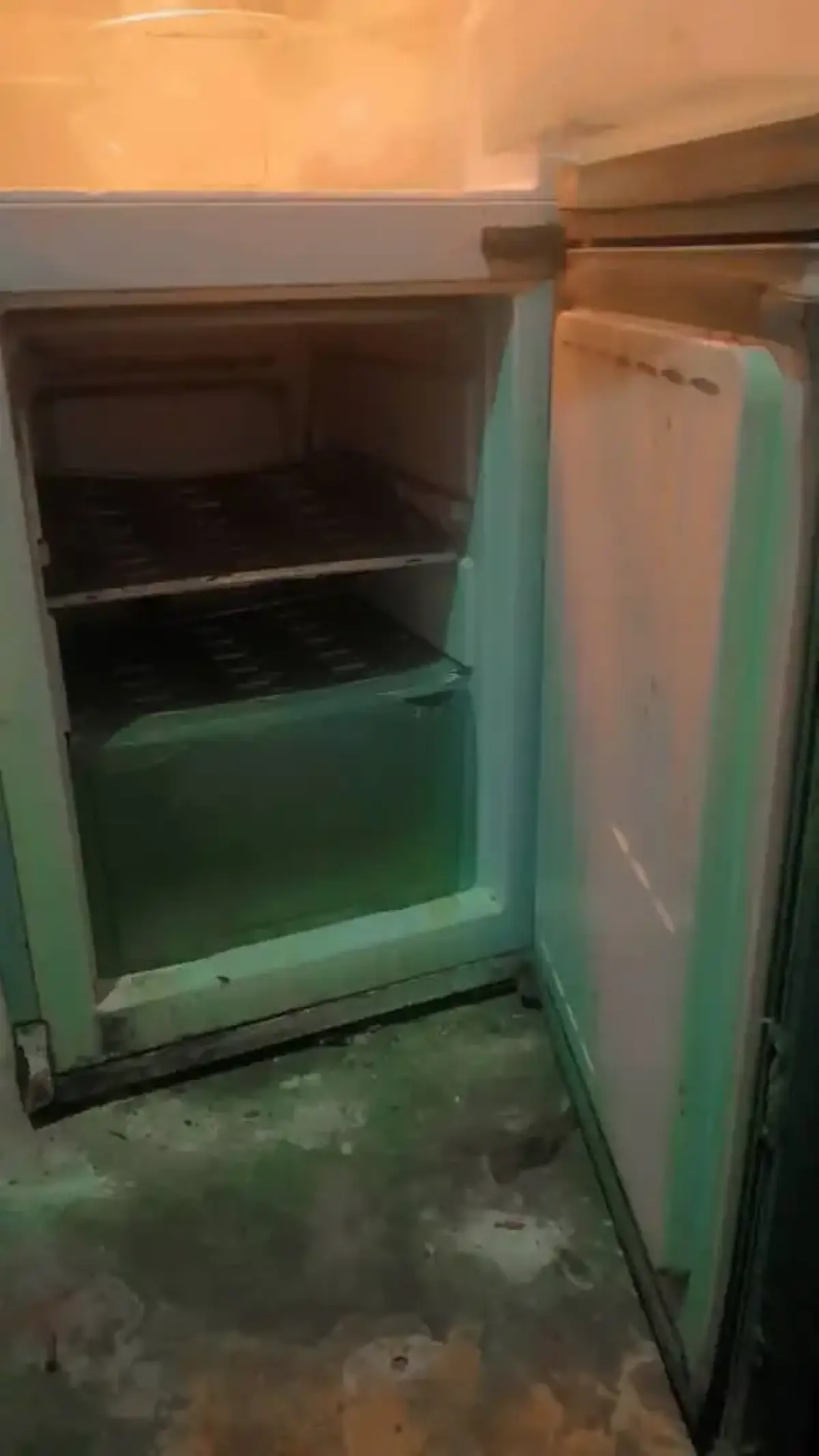 HAIER THERMOCOOL UP AND down FRIDGE - Image 4