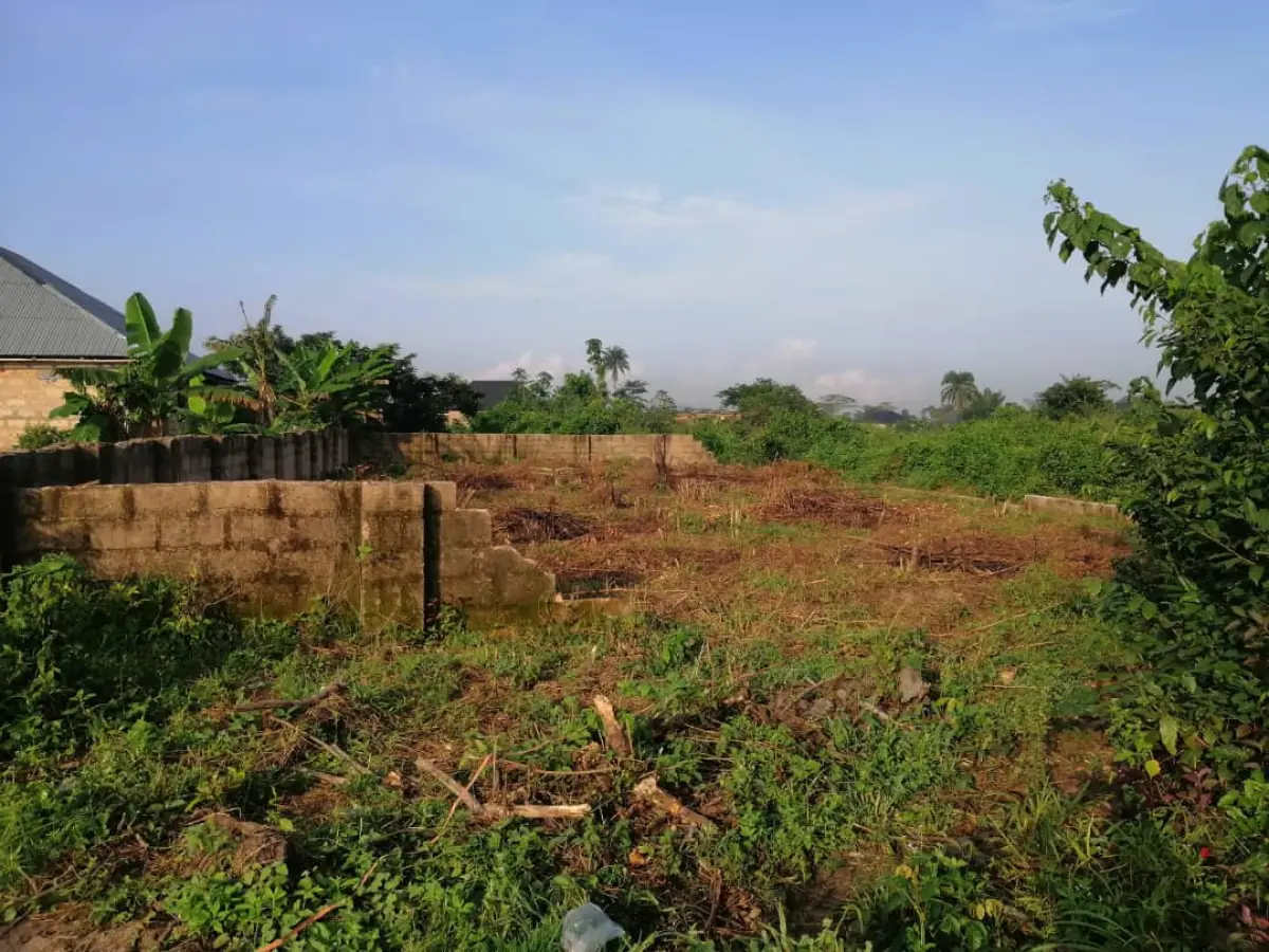 Land for sale at BIU area - Image 2