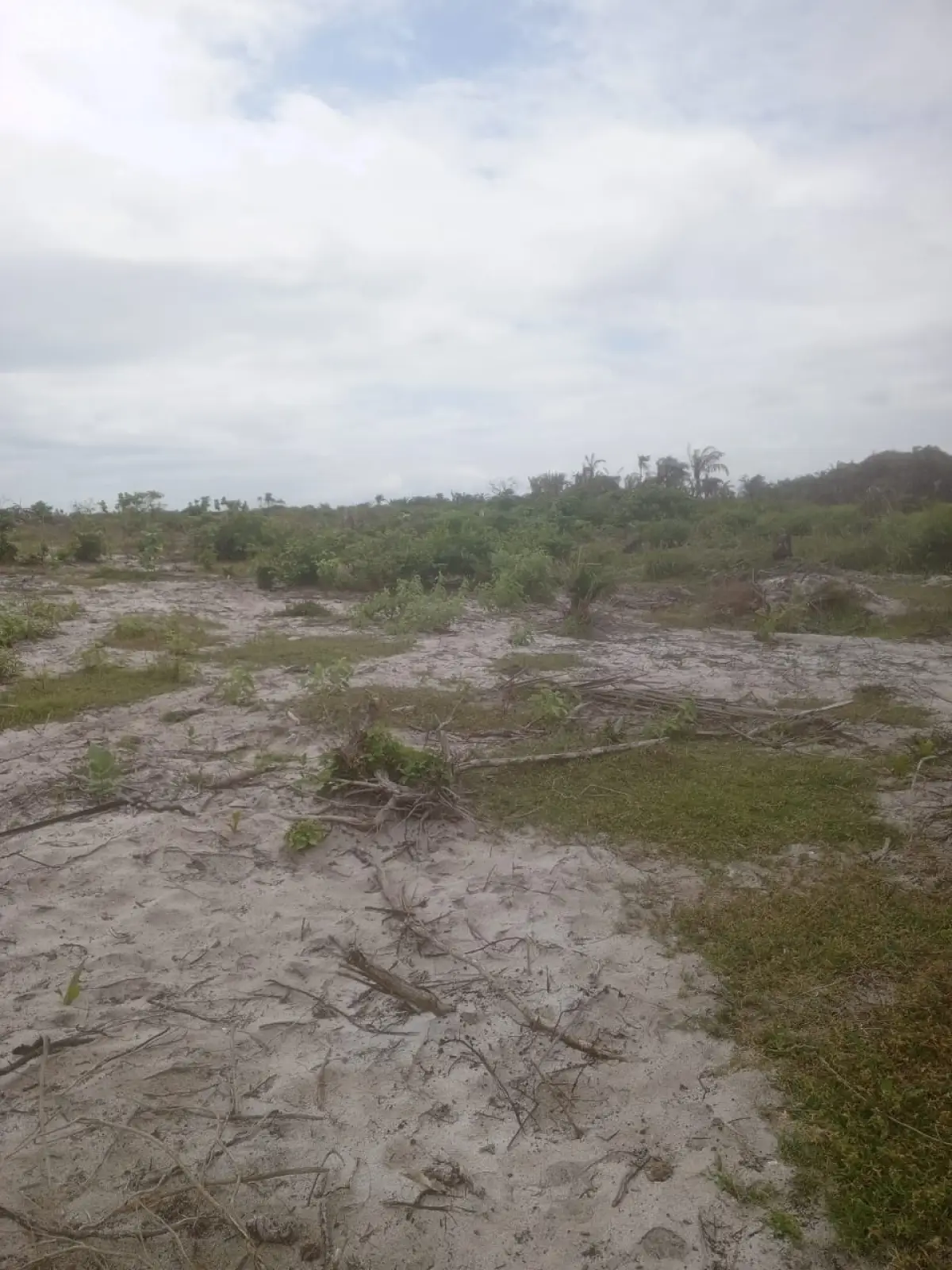 Verified Beachfront Land With C Of O Facing Coastal Road And Beach - Image 1