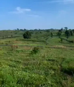 Black Friday Deal: FCDA-Approved 4-Bedroom Duplexes in Asokoro 2