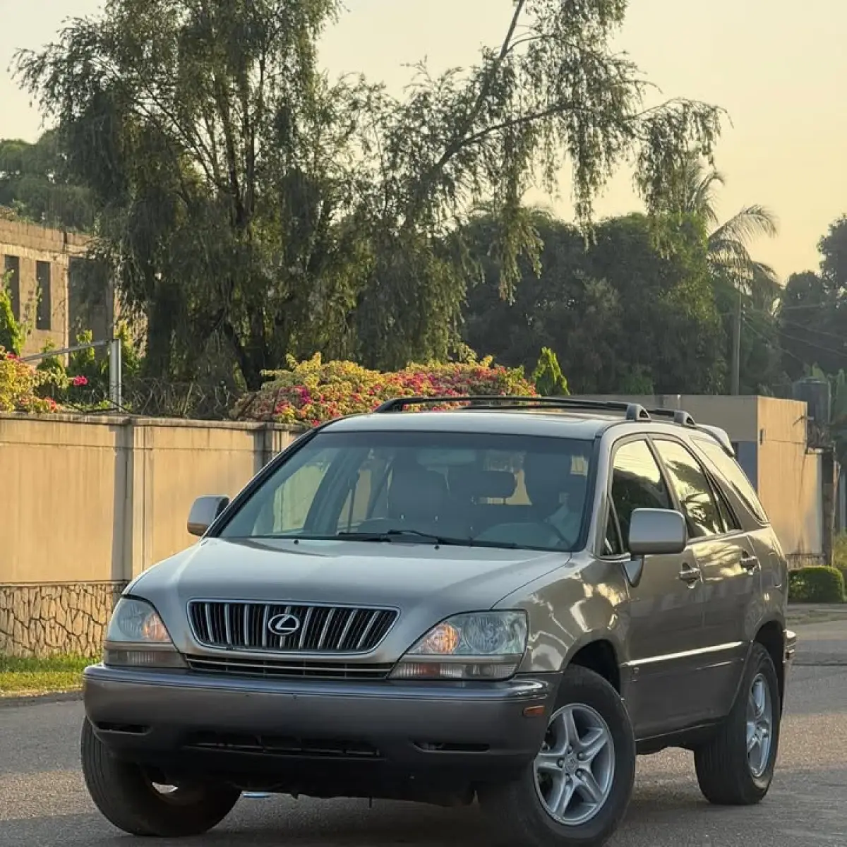 2002 LEXUS RX300 - Image 2