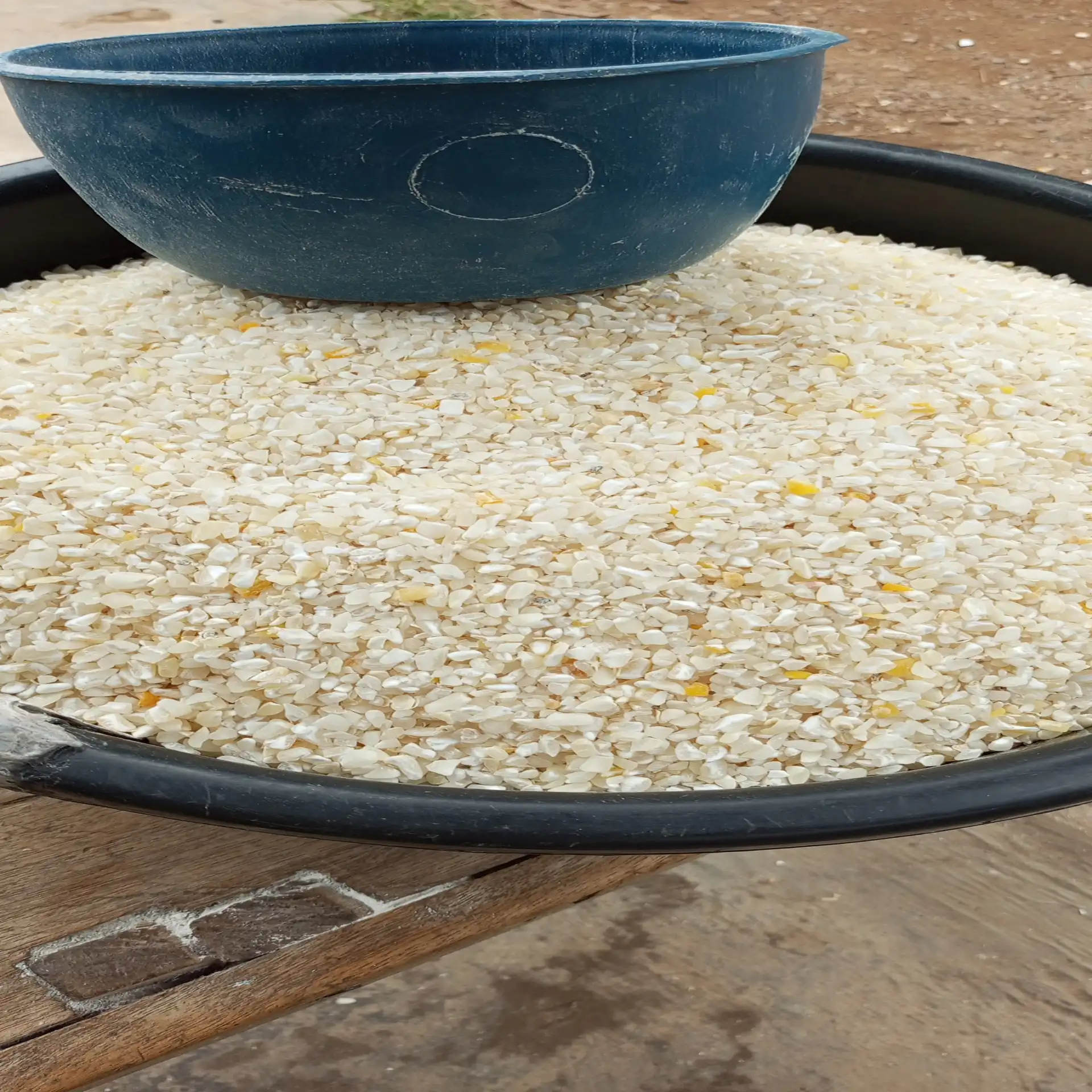 Corn grits (EGBO)